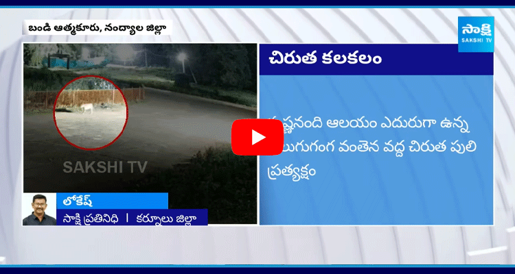 Another Leopard Found In Nandyal 