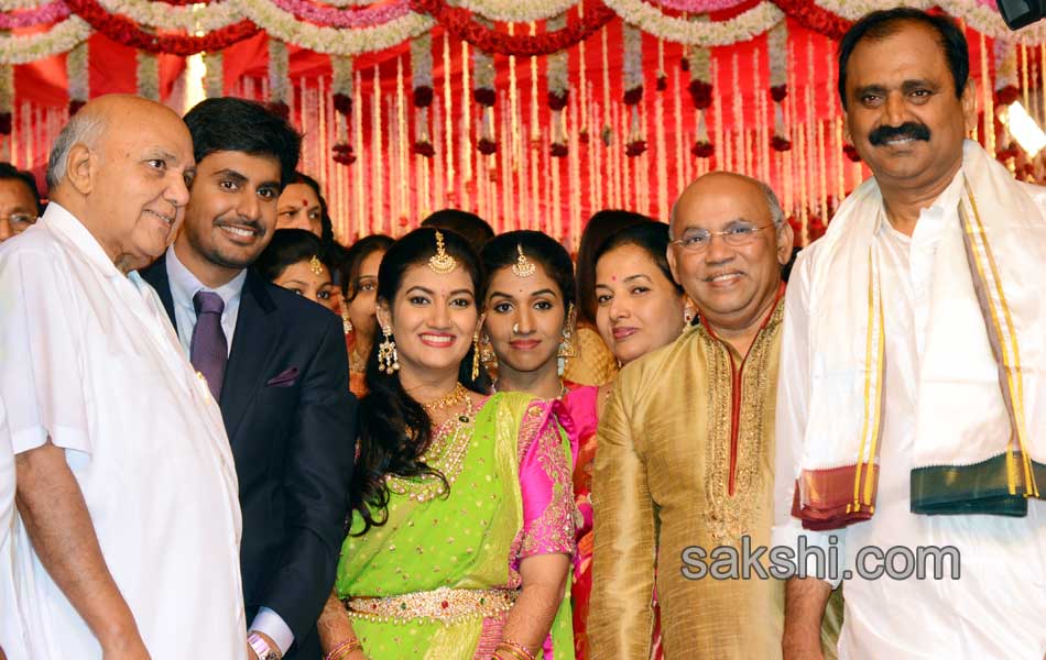 Bhumana Karunakar Reddy Son Abhinay Reddy Wedding Reception