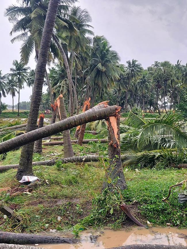 Cyclone Effect In Andhra Pradesh Photos - Sakshi