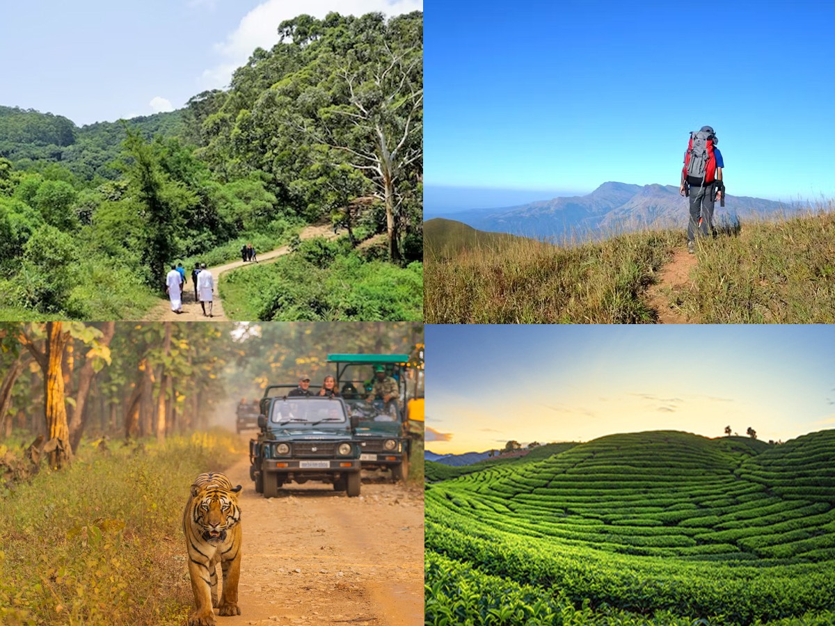 Nature walks, tea plantation tours, trekking, jungle safari, boating. - Sakshi