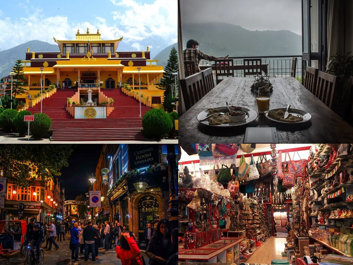 Triund trek, visit monasteries, shopping, cafe hopping, clubbing. - Sakshi