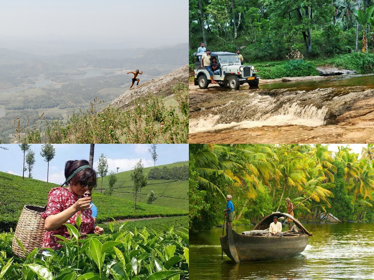 Nature walks, tea plantation tours, trekking, jungle safari, boating. - Sakshi