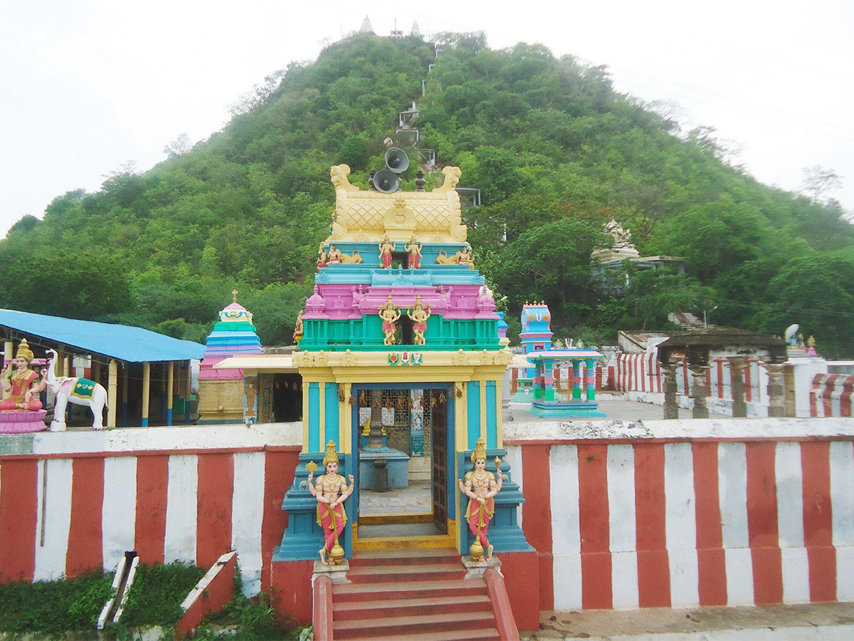 Famous Hindu Temples in Andhra Pradesh Photos - Sakshi