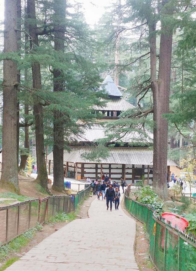 Hidimba Temple At Manali Covered With Snow - Sakshi