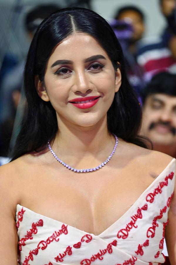 Actress Nabha Natesh HD Photos