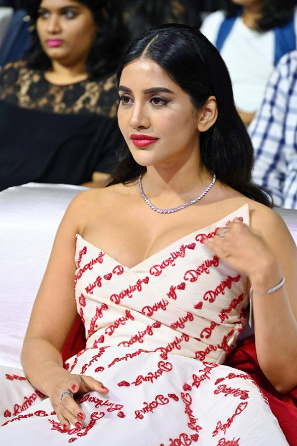 Actress Nabha Natesh HD Photos