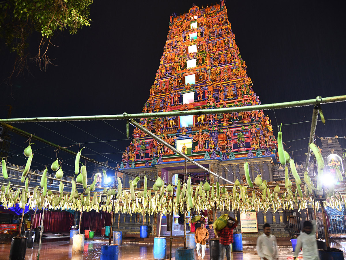 Shakambari festival 2024 at Vijayawada Kanaka Durga Temple Photos
