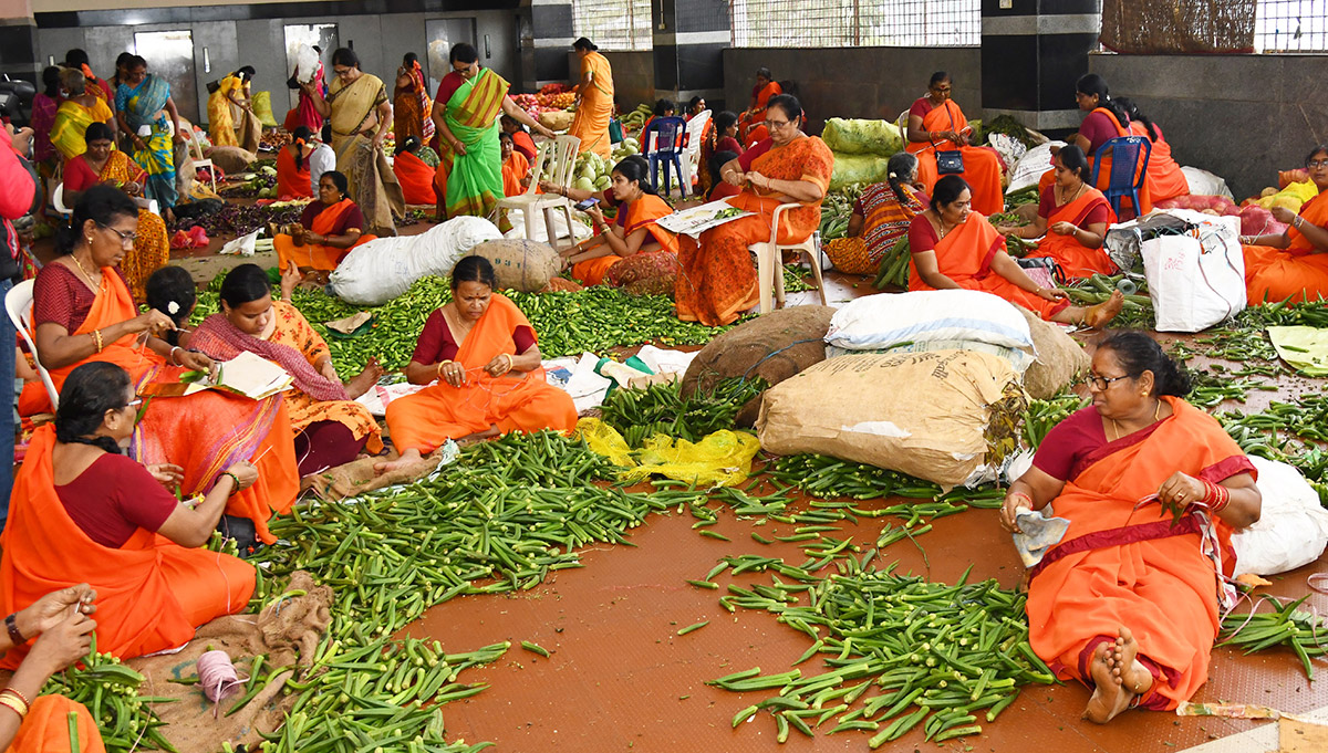 Shakambari festival 2024 at Vijayawada Kanaka Durga Temple Photos