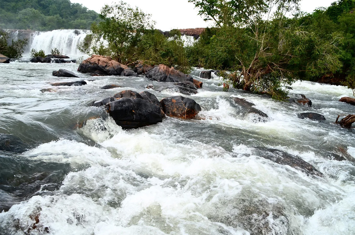 Bogatha Waterfall In Telangana: Photos