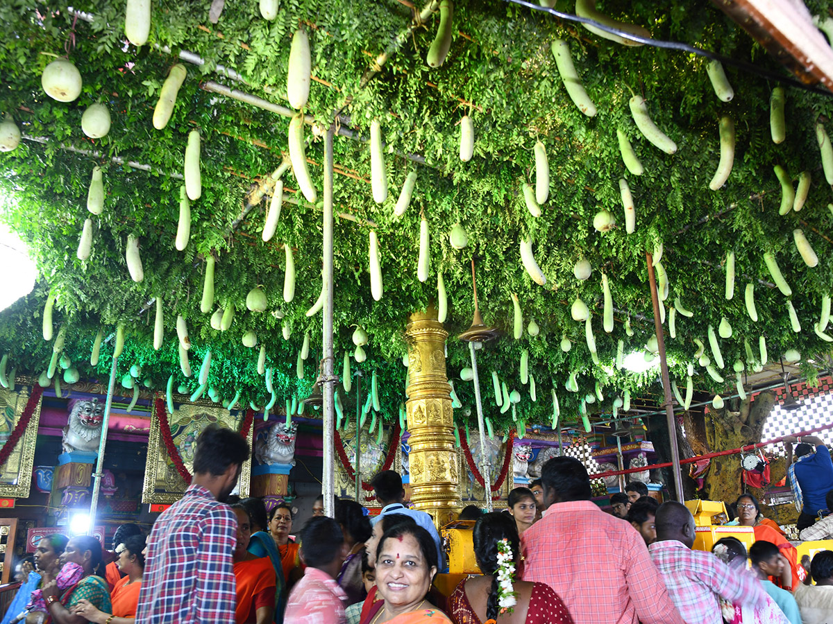 Shakambari Devi Festival Grandly Celebrated At Indrakeeladri