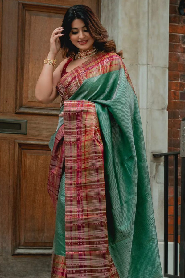 Actress Sneha Latest Saree Pics From London Vacation
