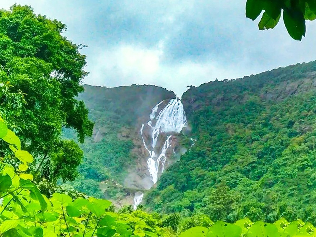 The Highest Waterfalls In India: Photos