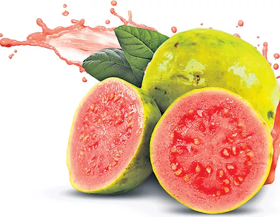 Guava Cure for diseases - Sakshi