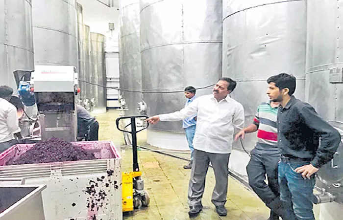 Exercise for the Wine Industry - Sakshi