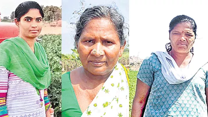 sucessfill women farmers - Sakshi