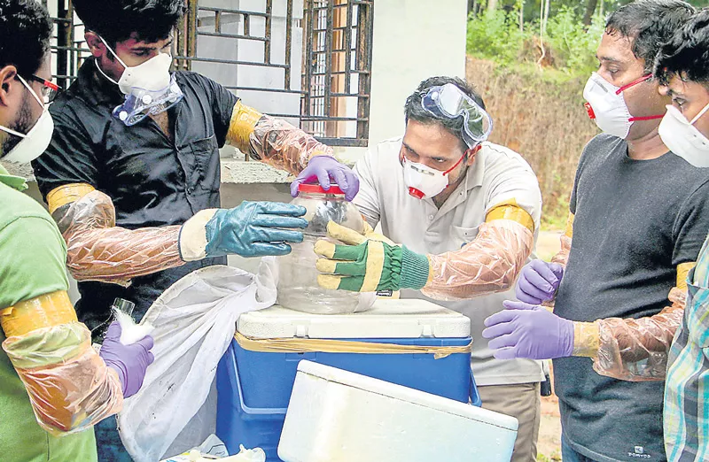 3 Dead From Mysterious Nipah Virus In Kerala, Centre Sends Team - Sakshi
