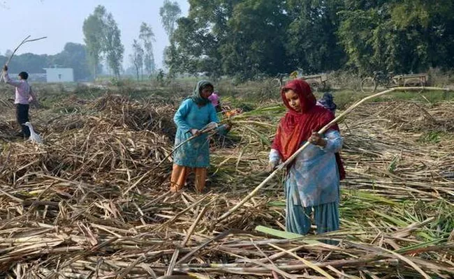 Hindus Take Up Farming, Muslims Looking Towards On Industrial Jobs - Sakshi