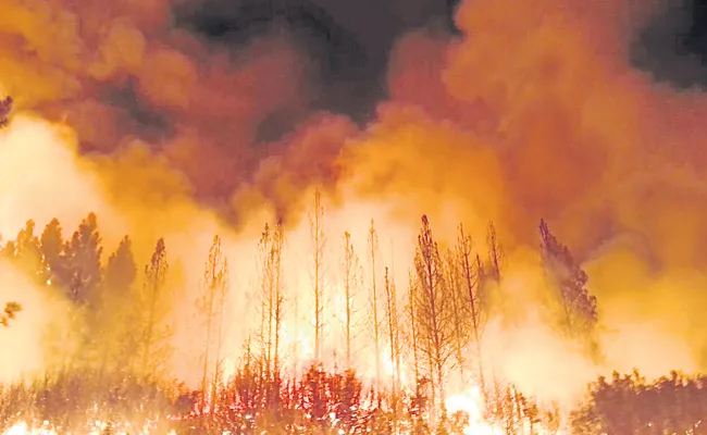 Wildfires Threaten Homes in California, Colorado - Sakshi