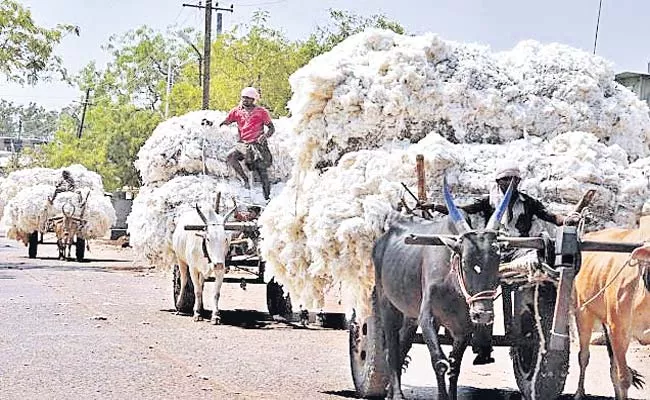 Cotton Purchases Support Price For Farmers Rangareddy - Sakshi