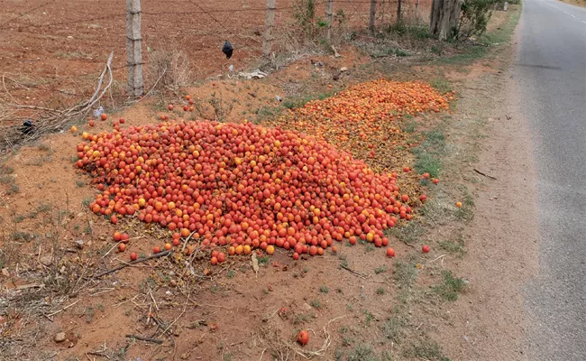 Tomato Farmers Worried About Price Down - Sakshi