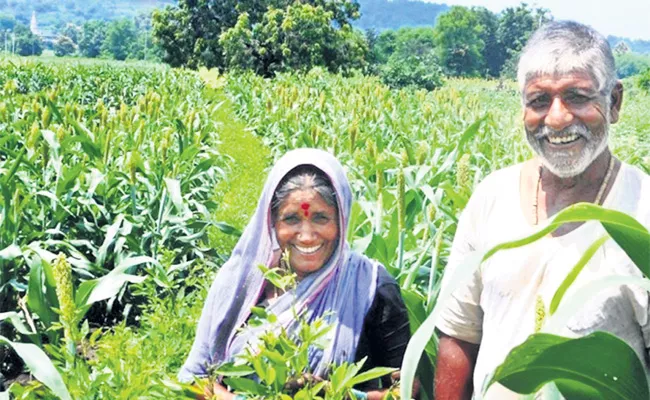 KCR Budget Happy Agriculture Rangareddy - Sakshi