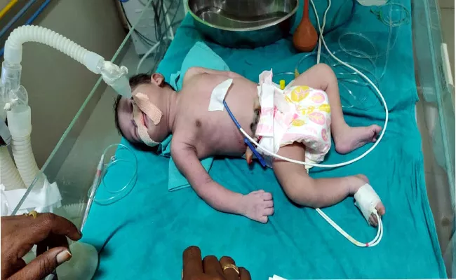 A Newborn Baby Has Died In The Neglect Of Doctors - Sakshi