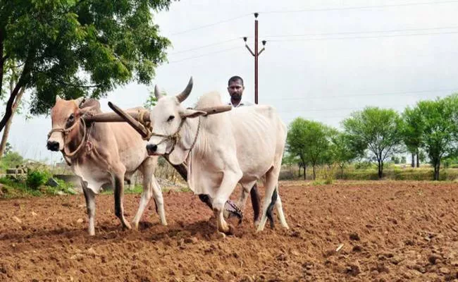 Telangana Farmers Waiting For Rains - Sakshi