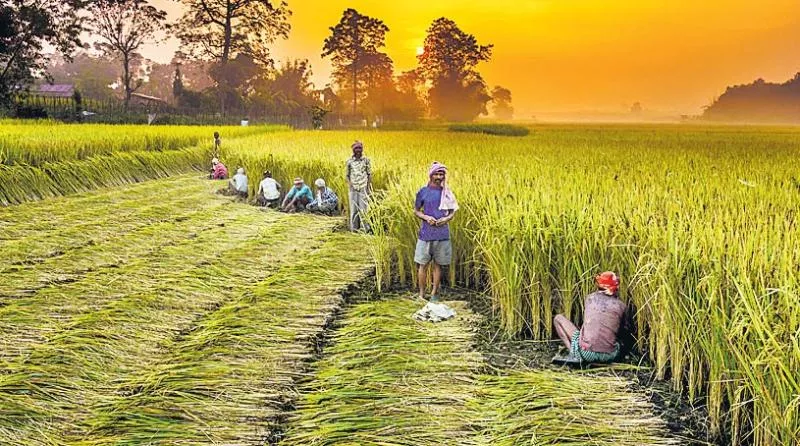 Modi govt notifies extension of benefits to all 14.5 crore farmers - Sakshi