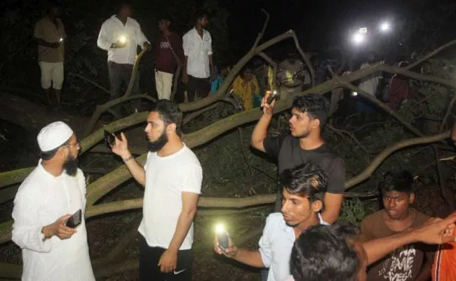 Activists Detained In Mumbai Aarey Colony Over Cut Trees Row - Sakshi