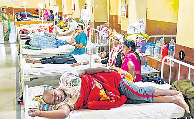 Hyderabad People Suffering With Illness in 2019 Year - Sakshi