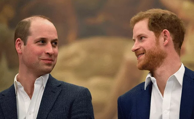 Prince Harry And Prince William Slams Story About Their Relationship - Sakshi
