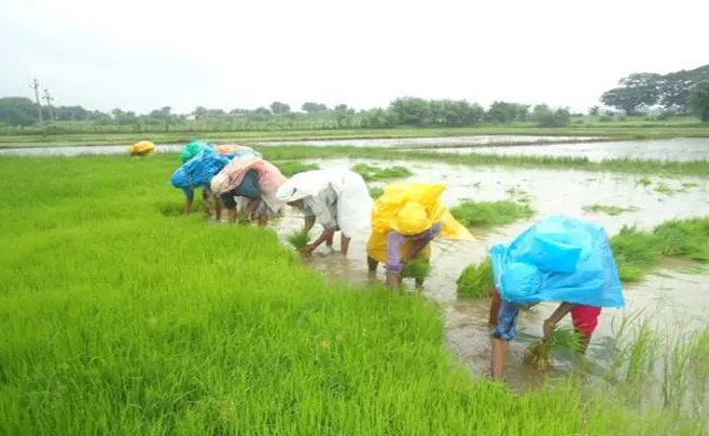 Solipeta Ramalinga Reddy Article On Farm Issues In Telangana - Sakshi
