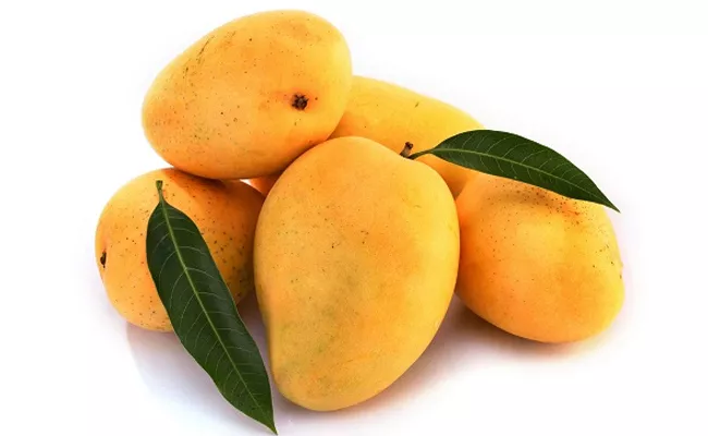 Horticulture Department Starts Mango Fruits Home Delivery Hyderabad - Sakshi