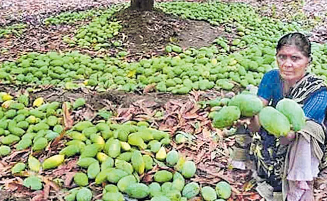 Mangoes Demand Decreased In Telangana Due To Lockdown - Sakshi