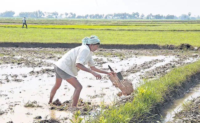 First aid Raithu Bandhu to a Small Range Farmer - Sakshi