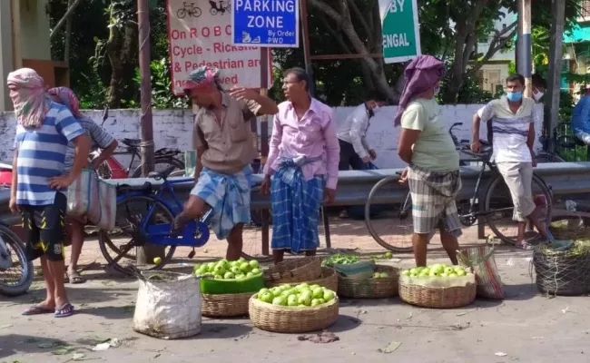 Guavas Farmers Struggle To Repay Loans - Sakshi