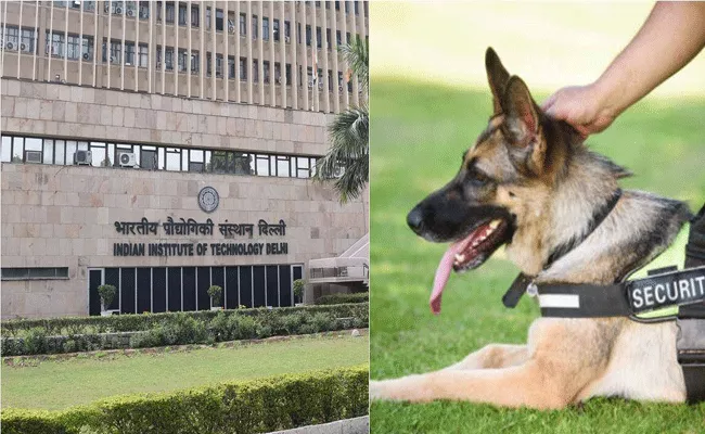 IIT Delhi Makes a Mistake In Notification of Dog Handler - Sakshi