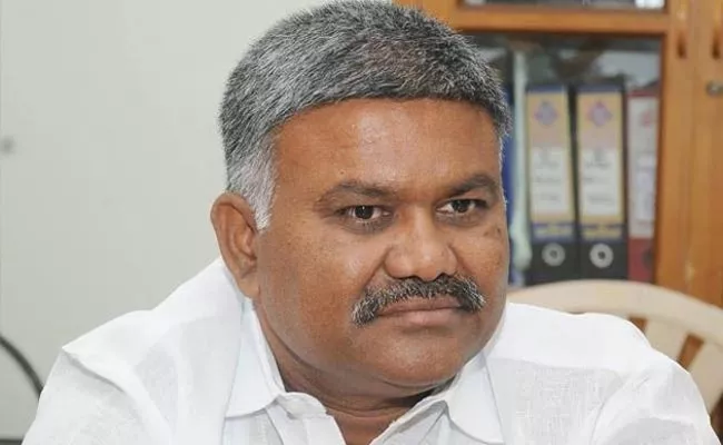 MLA Peddareddy Slams JC Prabhakar Reddy Over Faction Politics - Sakshi