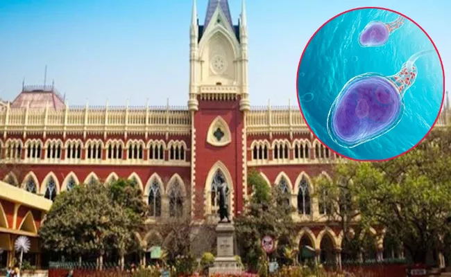 Kolkata High Court Verdict On Deceased Man Sperm - Sakshi