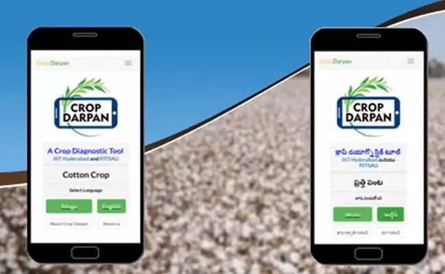 IIIT H Develops App to help Farmers in Crop Disease Diagnosis - Sakshi