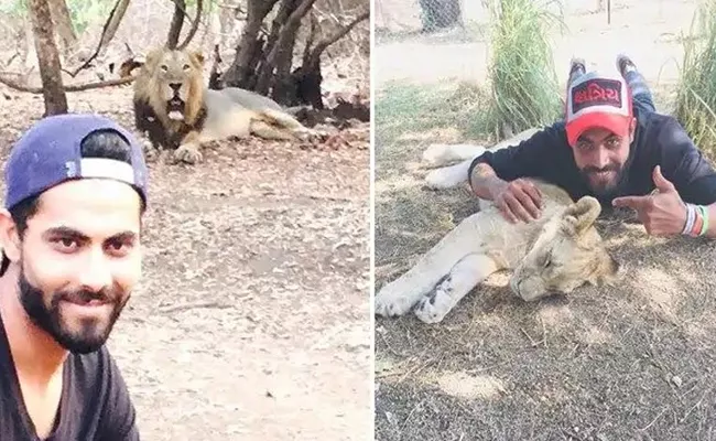 Ravindra Jadeja Shares Lion Cub Photo Became Controversy In Social Media - Sakshi