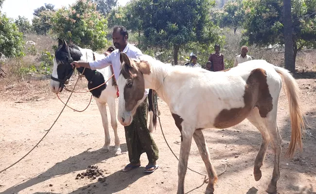 Jagityala: Horses Are Good Friends To ​Him He Likes Them Very Much  - Sakshi