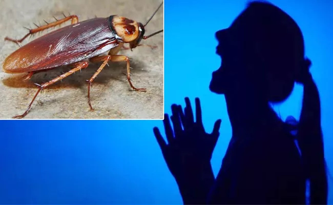 Newly Married Couple Changed 18 Houses Over Cockroach Phobia - Sakshi