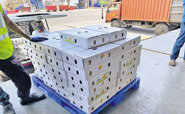 Nuzividu mango exports for continents - Sakshi