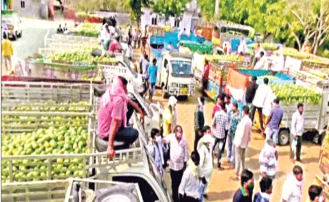 Warangal: Commission Traders Over Action In Fruit Market - Sakshi