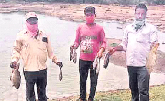 Jangaon: Fish Found Dead In Veldi Pond Due To Suspected Poisoning - Sakshi