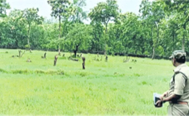 Telangana: Grasslands Developed In Kawal Wildlife Sanctuary Tiger Reserve - Sakshi