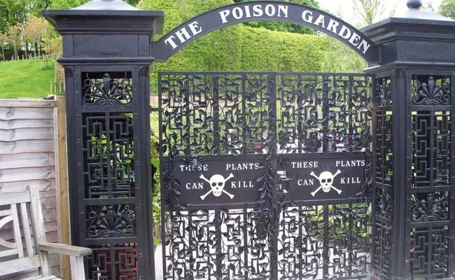 England Deadliest Alnwick Garden Special Facts In Noth Umberland Britain - Sakshi