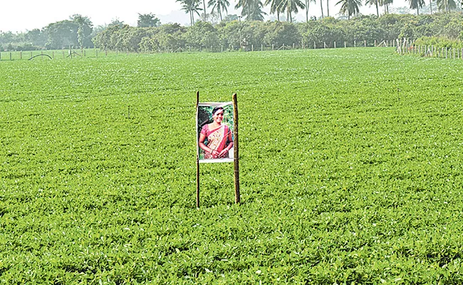Aswaraopeta: Karthika Deepam Fame Vantalakka Photo In Crop - Sakshi