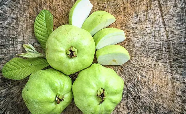 Health Benefits of Guava fruit - Sakshi